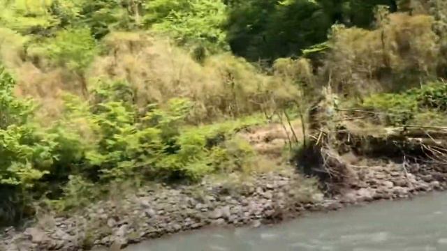 Zipline по дороге на озеро Рица.