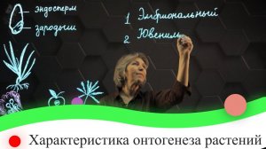 Характеристика онтогенеза растений. 7 класс.