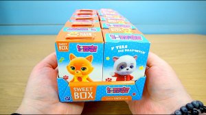 Кошечки Собачки сюрприз Sweet Box