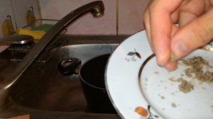 Как очистить щупальца кальмаров самый быстрый простой способ