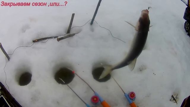 .Завершаем сезон, или ..,? смотреть онлайн