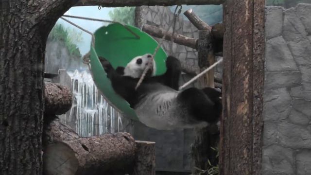 ППО ГБУ "МосгорБТИ". Конкурсная работа. Прокопчук Л.Д. смотреть онлайн