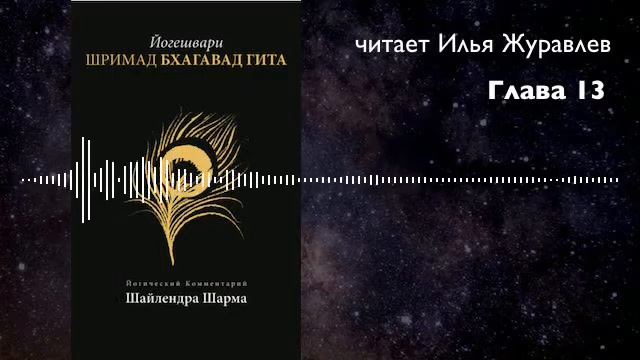 13.. Бхагавад Гита с комм. Шри Шайлендры Шармы. Глава 13. смотреть онлайн