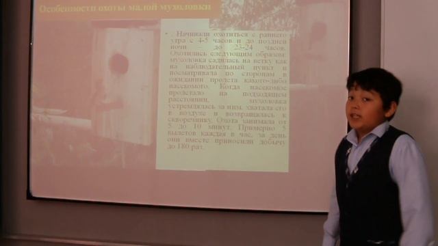 НПК "Шаг в будущее" Птицы за моим окном: малая мухоловка. смотреть онлайн