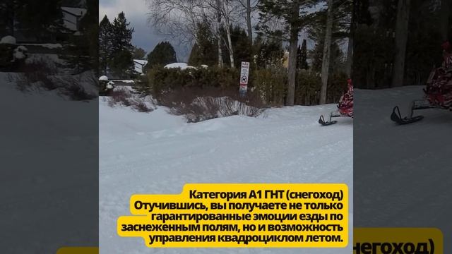 Автомобильный гид