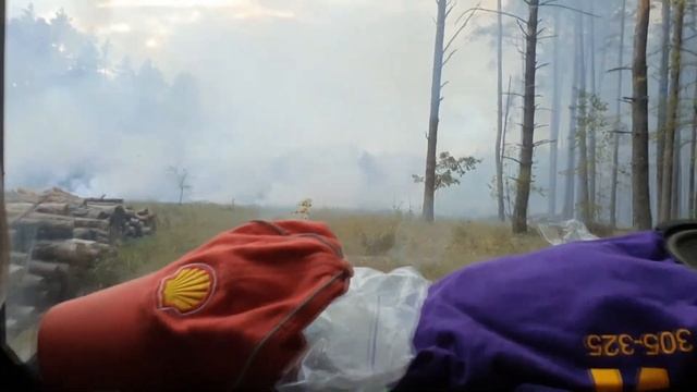 Кум учит меня разбираться и собирать грибы. 2 часть. смотреть онлайн