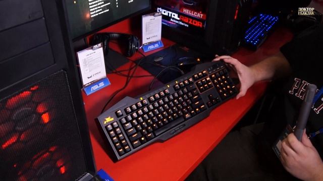 Игромир 2014. Часть 4. ASUS Strix Tactic Pro. смотреть онлайн