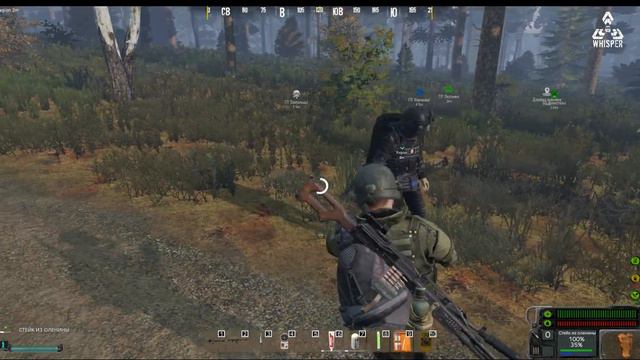 The Whisper 2023 AOD1 Вот по Зоне пойду, артефрукты я найду #stalker  #pve #dayzstalker #СервераDay