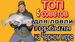 Советы для ловли горбыля на Черном море.