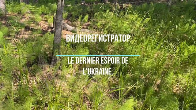 Le Dernier Espoir De L'Ukraine.