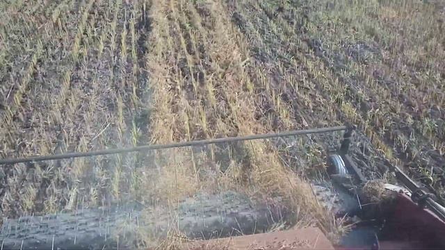 Вектор-410 с подборщиком смотреть онлайн