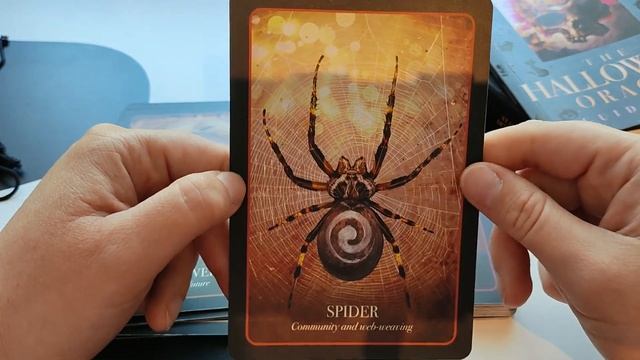 Обзор колоды Хэллоуин оракул ? The Halloween Oracle смотреть онлайн