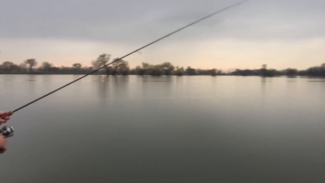 Рыбалка. Окунь на отводной поводок. смотреть онлайн