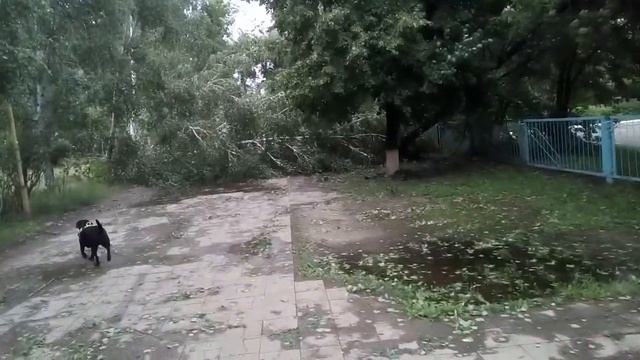Ураган в Ульяновске смотреть онлайн