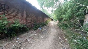 Сколько можно заработать собирая алюминиевые банки?