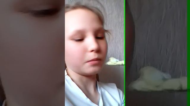 Обзор на поделки из соленого теста. смотреть онлайн