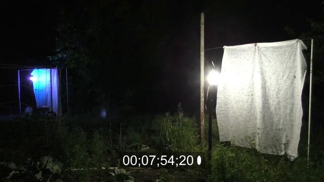 Сравнение ДРВ-125 и УФ-светодиодной лампы. Смотреть с 3-й минуты. смотреть онлайн