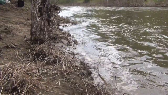 Рыбалка в тайге на хариуса 10 й день из 10 дней рыбалка охота тайга лес поход выживание в лесу смотреть онлайн
