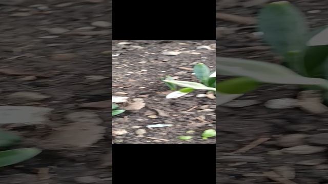 ПЕРВЫЕ! :)✌ смотреть онлайн