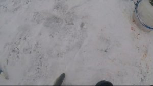 Рыбалка на Байкальского хариуса (апрель 2021)/ Залив Провал_Байкал