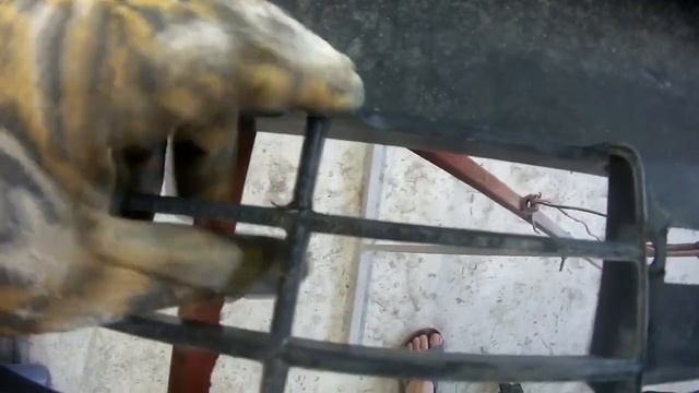 Руководство к Лучшему