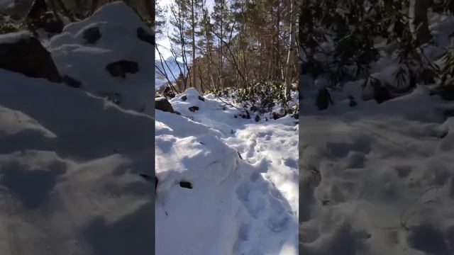 дорога к Башкаре смотреть онлайн