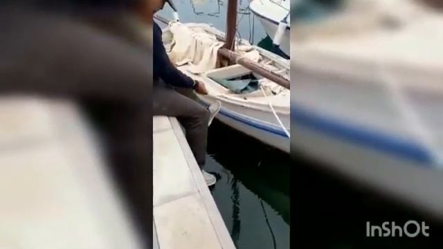 Ловля осьминога в море . ИСПАНИЯ смотреть онлайн