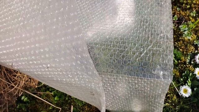 Удаляем поросль в саду. смотреть онлайн