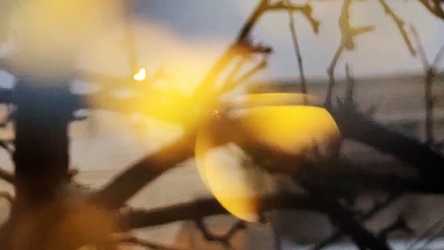 VID 20230212 083656 Меланхолия (Альфонсина Сторни)...Павел Васильев Лахтинский смотреть онлайн