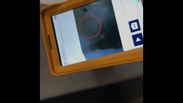 Выявление подделок в предметах старины - Vanta™ Olympus смотреть онлайн
