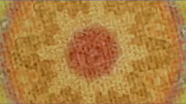 ОО БРПО   Дружный салют пионерии, 4 09 23