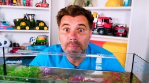 Веселые игры — ДИКИЙ МИР — Фигурки животные Коллекта / Collecta АКВАРИУМ — Шоу Play Рой