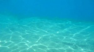 Что происходит сейчас в Египте ??  / Paradise Abu Soma Resort 4*  Пляж и питание