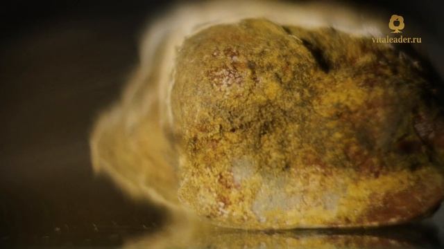 Вред хлеба смотреть онлайн