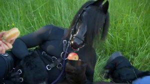 Outsiders | Throwback: Karolina och «Svarta Hingsten» visar upp ponyplay