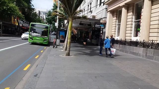 ПАЛЬМЫ В СИТИ. НОВАЯ ЗЕЛАНДИЯ, ОКЛЕНД. смотреть онлайн