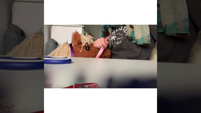 SHOW HALFTER DIY Für‘s Hobby Horse| #Horselove