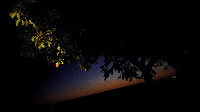 Struttura sconosciuta Alfa / Ambient Music, Experimental Music смотреть онлайн