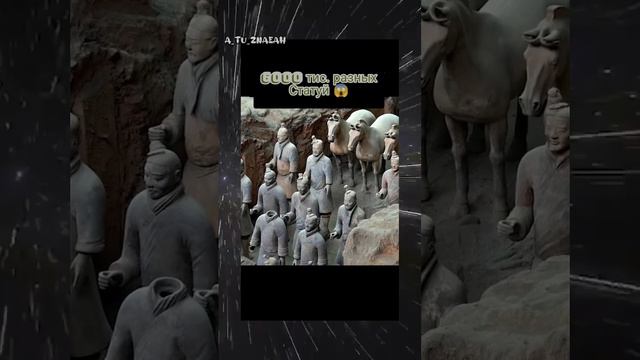 ‼️6000 тысяч разных статуй 😱#факты #история #невероятно  #земля #люди #прошлое #сегодня  #новост