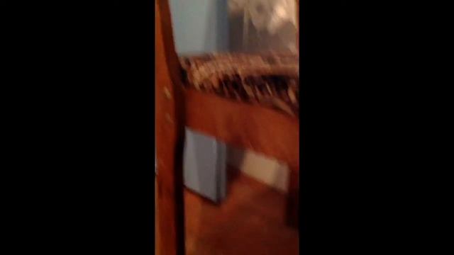 На даче:котенок смотреть онлайн