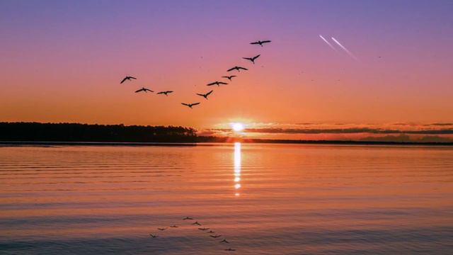 Psalm 111(112):4-9 for the 5th Sunday in Ordinary Time Year A - The Good Man Is A Light смотреть онлайн
