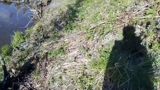 Обзор мопеда Альфа rx смотреть онлайн