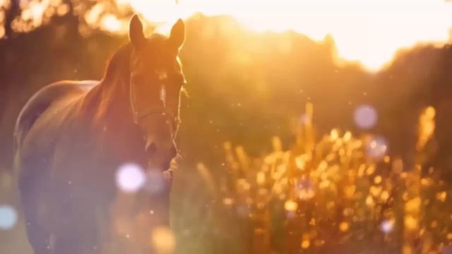 5 октября: Меркурий меняет знак. Медитация для исполнения желаний смотреть онлайн