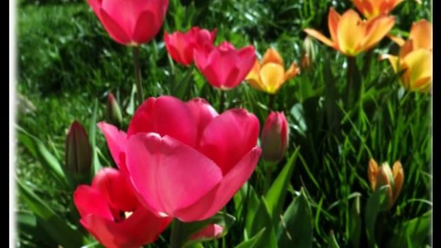 ВОДЕНА МЕДИТАЦИЯ - ПОМОЩ ПРИ ИЗЦЕЛЕНИЕ И САМОИЗЦЕЛЕНИЕ смотреть онлайн