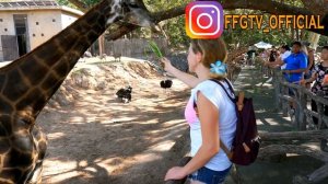 Мы Это ДЕЛАЛИ ПЕРВЫЙ РАЗ Самый Крутой ЗООПАРК для всей семьи Милана и Даня Кормят и гладят животных