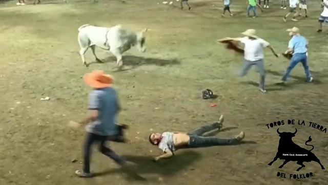 Montador: Kevin Contreras, Toro: Robleño Hacienda El Roble (Fiestas Santiago Apostol 2022) ?? смотреть онлайн