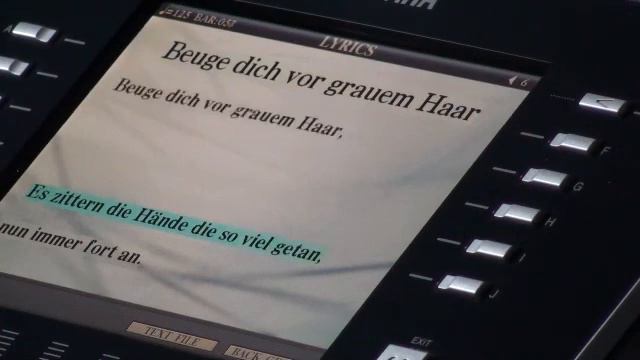 Beuge dich vor grauem Haar смотреть онлайн