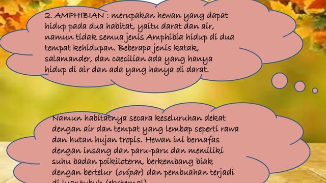 PPT IPA VERTEBRATA смотреть онлайн