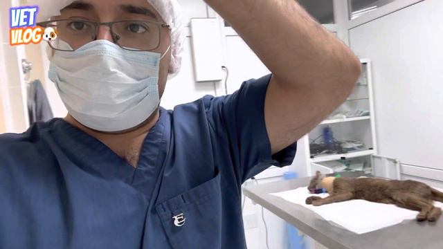Большая опухоль, полная история 😞 смотреть онлайн