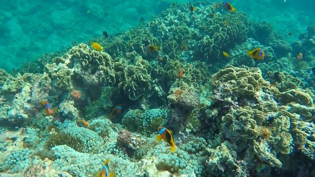 HIGHLIGHTS of Port Vila, VANUATU - Exploring Efate Island, Blue Lagoon + Snorkelling | Travel Guide смотреть онлайн